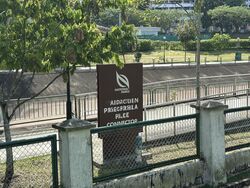 Pine Grove (D21), Condominium #500562631